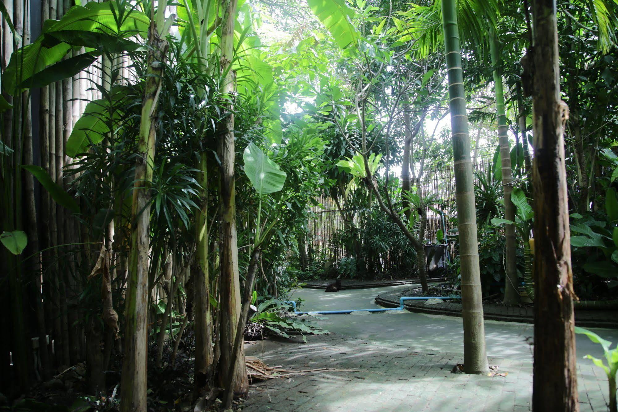 Oyo 585 Freedom Hostel @ Phi Phi Экстерьер фото