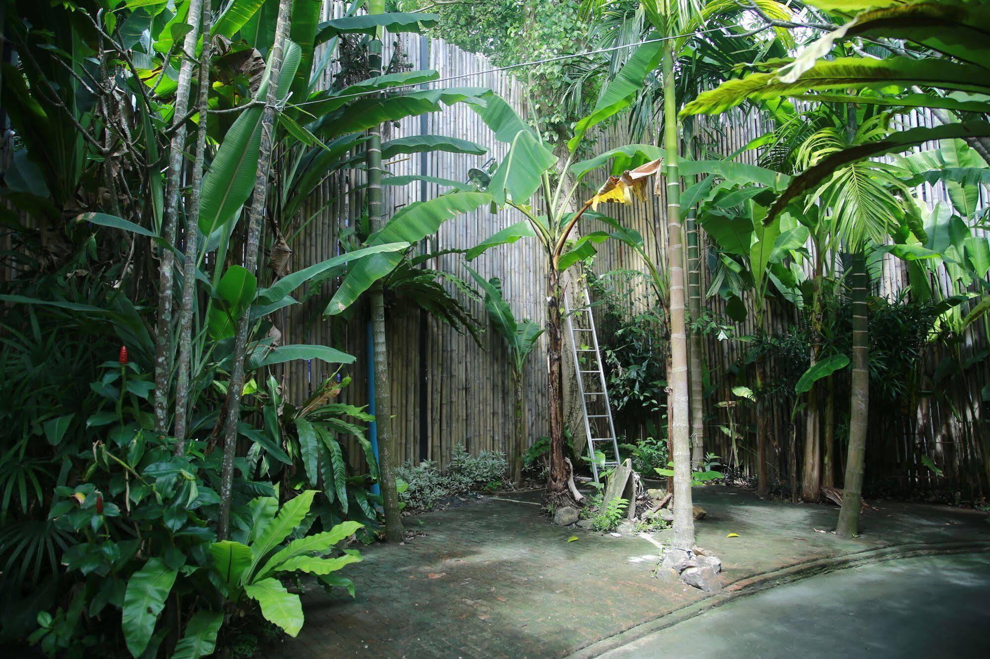Oyo 585 Freedom Hostel @ Phi Phi Экстерьер фото